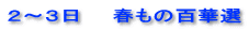２～３日　　春もの百華選